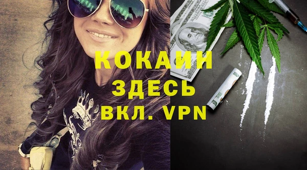 мдпв Абаза