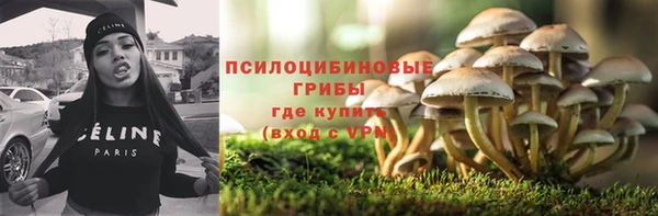 соль курить ск Алексеевка