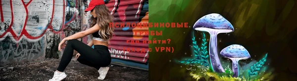соль курить ск Алексеевка
