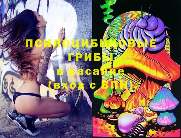 мдпв Абаза