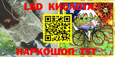 mdpv Краснознаменск