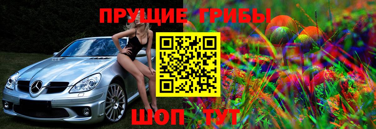 Зеленокумск  Псилоцибиновые грибы MAGIC MUSHROOMS  Вход с VPN  Псилоцибиновые грибы ЛСД 